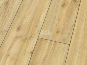 Ламинат Falquon Blue Line Wood 8mm D3718 WILD MAPLE фото 1 | FLOORDEALER
